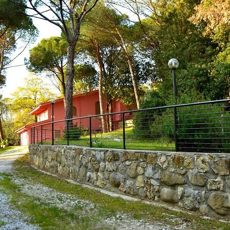 Agriturismo Poggio Al Pino Монтелупо-Фьорентіно Екстер'єр фото